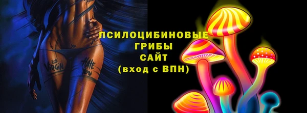 гашик Лиски