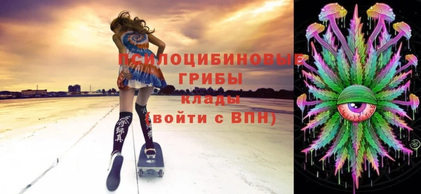 гашик Лиски