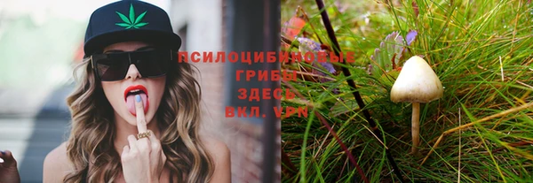 твердый Майский