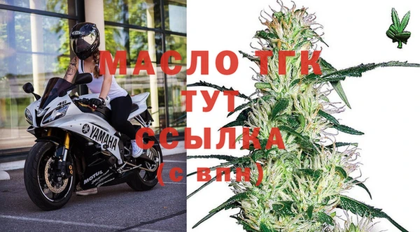 твердый Майский