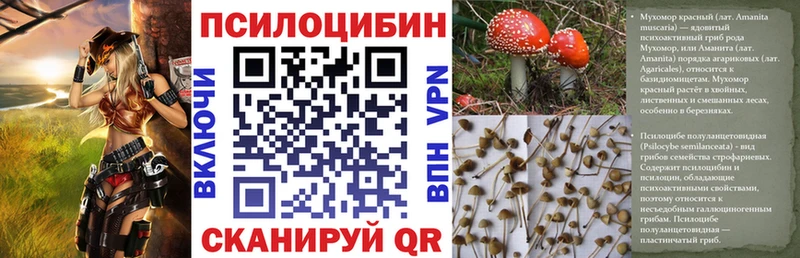 Купить где  Зеленодольск  Галлюциногенные грибы MAGIC MUSHROOMS 